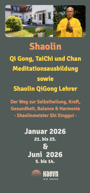 Flyer Kurse und Ausbildungen im HAEVN an Meer